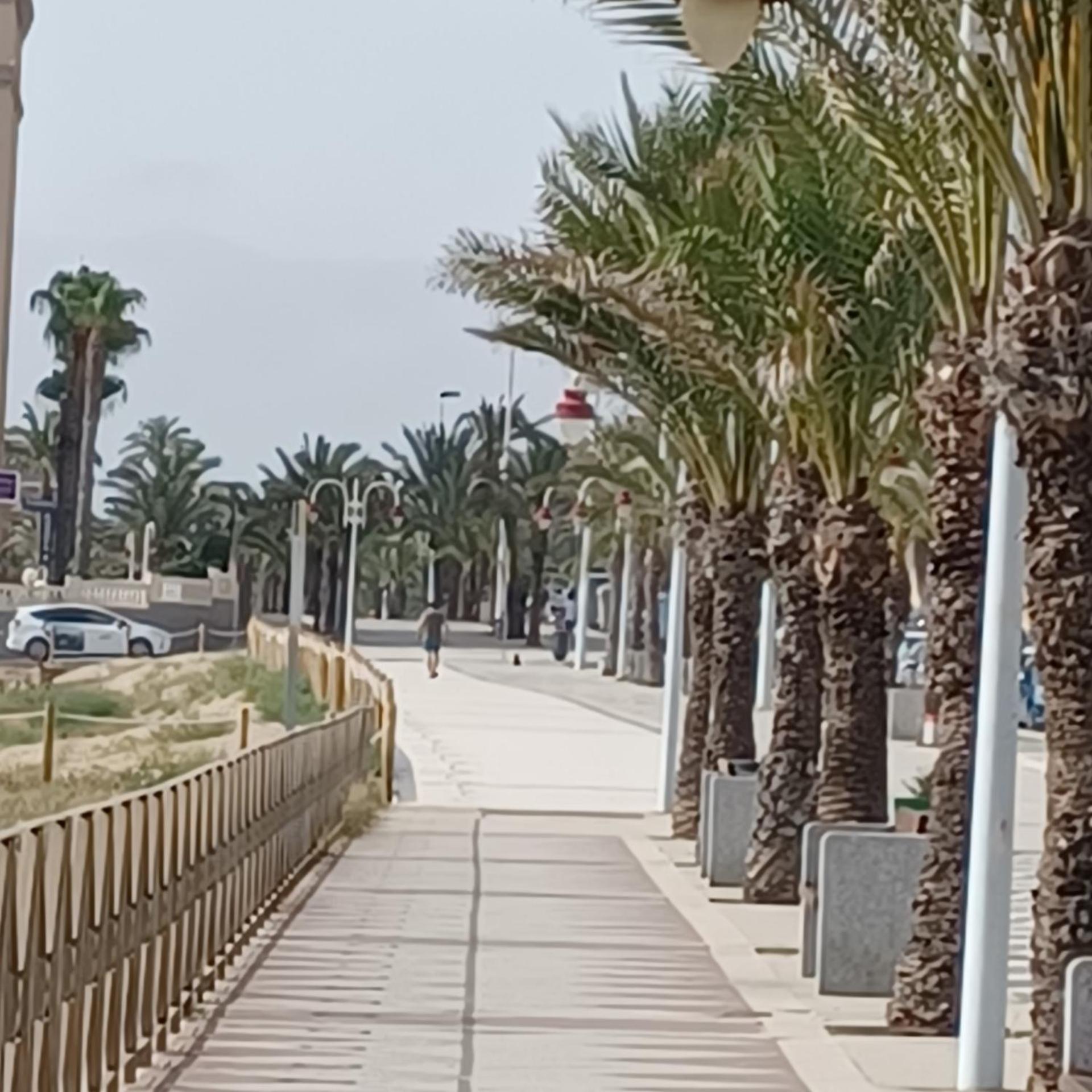 Agua Marina Apartament Arenales del Sol